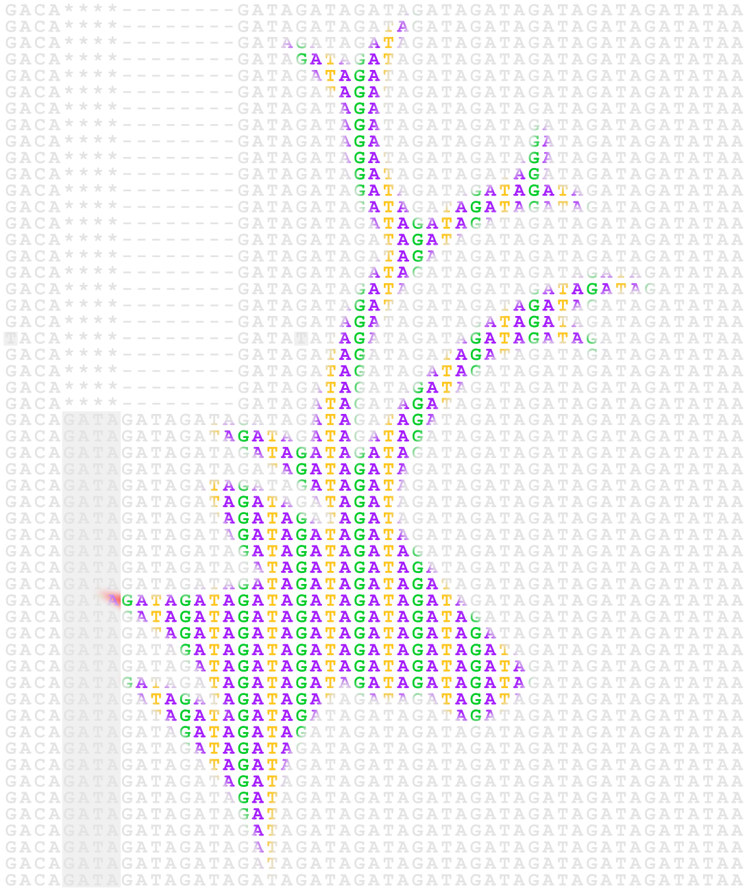 DNA Sequence Data with Imposed Caribou Symbol